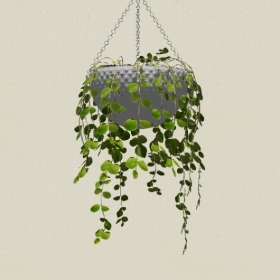 ����ֲ��-Sketchup��ͼ��ʦEnscape����ģ��2022051194