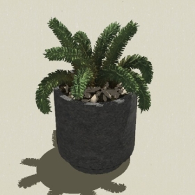 ����ֲ��-Sketchup��ͼ��ʦEnscape����ģ��2022051129