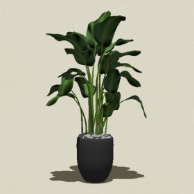 ����ֲ��-Sketchup��ͼ��ʦEnscape����ģ��2022051112