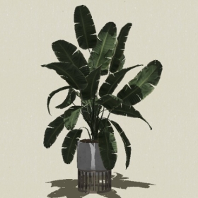 ����ֲ��-Sketchup��ͼ��ʦEnscape����ģ��2022051120