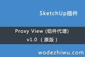 Proxy View () v1.0 ԭ棩