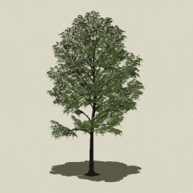 ��ľ-Sketchup��ͼ��ʦEnscape����ģ��202205119