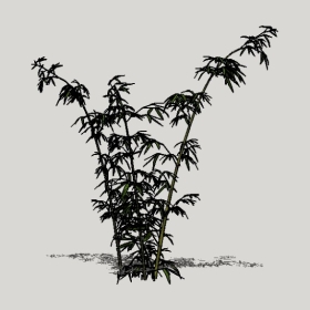 ����_Enscape���ʲ�ͼ��ʦģ���������202204204994