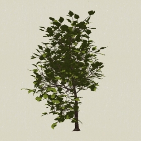 ��ľ-Sketchup��ͼ��ʦEnscape����ģ��2022051186