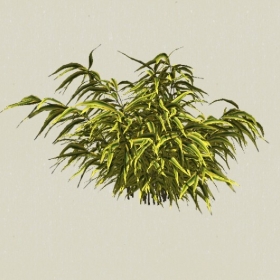 ��ľ-Sketchup��ͼ��ʦEnscape����ģ��2022051196