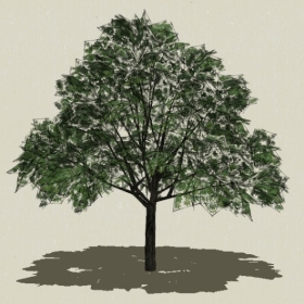 ��ľ-Sketchup��ͼ��ʦEnscape����ģ��20220511124