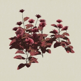 ����-Sketchup��ͼ��ʦEnscape����ģ��20220511101