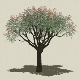 ��ľ��ľ-Sketchup��ͼ��ʦEnscape����ģ��2022051158