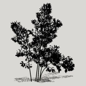 ����_Enscape���ʲ�ͼ��ʦģ���������202204204981