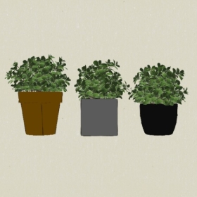 ����ֲ��-Sketchup��ͼ��ʦEnscape����ģ��20220511313