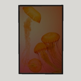 װ�λ�_Enscape���ʲ�ͼ��ʦģ���������202204203205