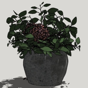 ����_Sketchup��ͼ��ʦģ��Enscape����22020426361