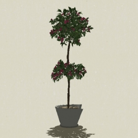 ����ֲ��-Sketchup��ͼ��ʦEnscape����ģ��20220511312