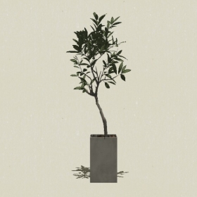 ����ֲ��-Sketchup��ͼ��ʦEnscape����ģ��2022051122