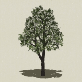 ��ľ-Sketchup��ͼ��ʦEnscape����ģ��2022051165