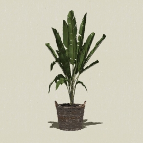 ����ֲ��-Sketchup��ͼ��ʦEnscape����ģ��20220511116