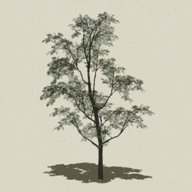 ��ľ-Sketchup��ͼ��ʦEnscape����ģ��20220511100