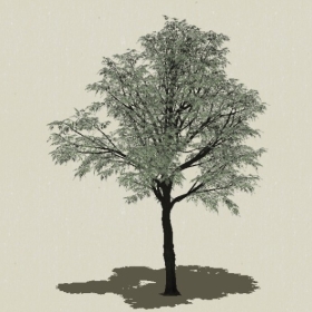 ��ľ-Sketchup��ͼ��ʦEnscape����ģ��2022051137