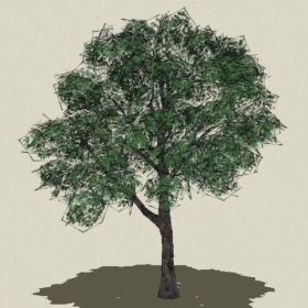 ��ľ-Sketchup��ͼ��ʦEnscape����ģ��2022051150