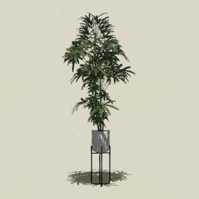 ����ֲ��-Sketchup��ͼ��ʦEnscape����ģ��2022051158