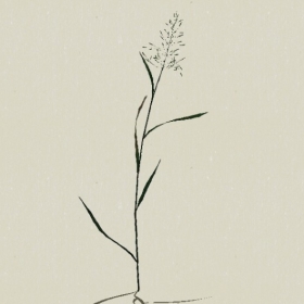 ��-Sketchup��ͼ��ʦEnscape����ģ��2022051183