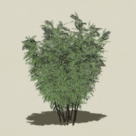 ��ľ-Sketchup��ͼ��ʦEnscape����ģ��2022051136