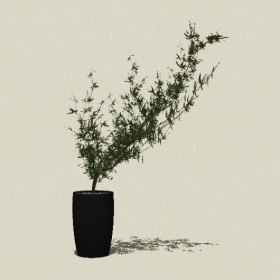 ����ֲ��-Sketchup��ͼ��ʦEnscape����ģ��20220511247