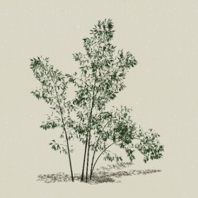 ����-Sketchup��ͼ��ʦEnscape����ģ��202205113