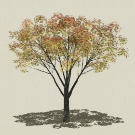 ��ľ-Sketchup��ͼ��ʦEnscape����ģ��20220511