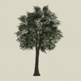 ��ľ-Sketchup��ͼ��ʦEnscape����ģ��20220511116