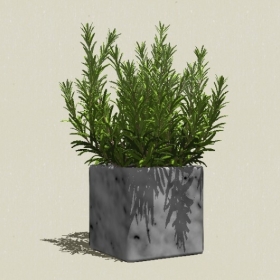 ����ֲ��-Sketchup��ͼ��ʦEnscape����ģ��20220511142