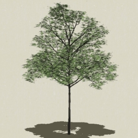 ��ľ-Sketchup��ͼ��ʦEnscape����ģ��2022051133