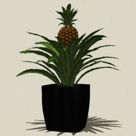 ����ֲ��-Sketchup��ͼ��ʦEnscape����ģ��20220511270