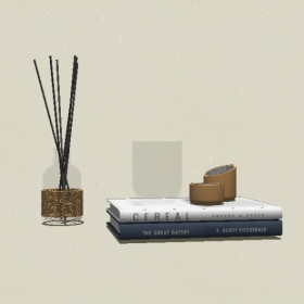 �鼮-Sketchup��ͼ��ʦEnscape����ģ��20220511116