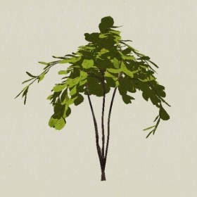 ��ľ-Sketchup��ͼ��ʦEnscape����ģ��2022051164