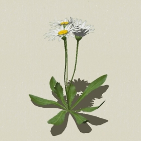 ����-Sketchup��ͼ��ʦEnscape����ģ��2022051134