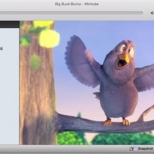 Minitube for mac 2.4 – 看YouTube视频的客户端 最新绿化版