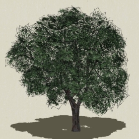 ��ľ-Sketchup��ͼ��ʦEnscape����ģ��2022051149