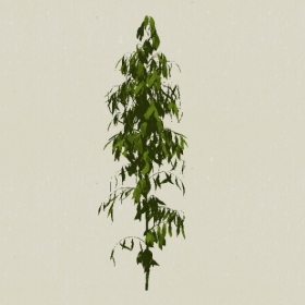 ��ľ-Sketchup��ͼ��ʦEnscape����ģ��2022051184