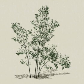 ����-Sketchup��ͼ��ʦEnscape����ģ��2022051118