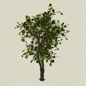 ��ľ-Sketchup��ͼ��ʦEnscape����ģ��2022051175