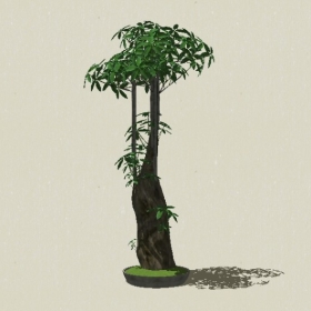 �辰ֲ��-Sketchup��ͼ��ʦEnscape����ģ��202205116