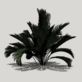 ���ֲ��_Enscape���ʲ�ͼ��ʦģ���������202204205542