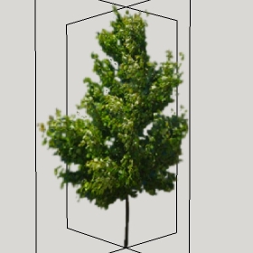 ͼʦģֲģȫ2022132