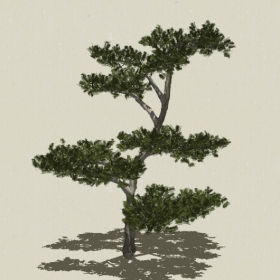 �辰ֲ��-Sketchup��ͼ��ʦEnscape����ģ��20220511112