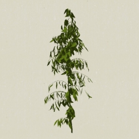 ��-Sketchup��ͼ��ʦEnscape����ģ��2022051111