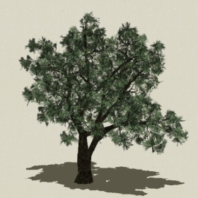 ��ľ-Sketchup��ͼ��ʦEnscape����ģ��2022051161