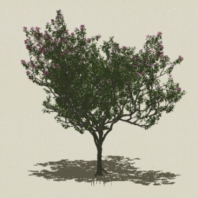 ��ľ��ľ-Sketchup��ͼ��ʦEnscape����ģ��2022051154