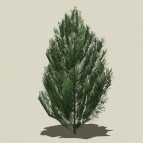 ��Ҷ��ľ-Sketchup��ͼ��ʦEnscape����ģ��2022051117