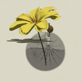 ����-Sketchup��ͼ��ʦEnscape����ģ��20220511155